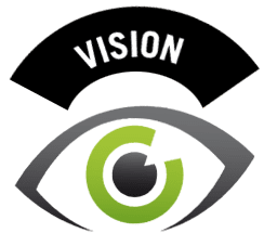 Vision